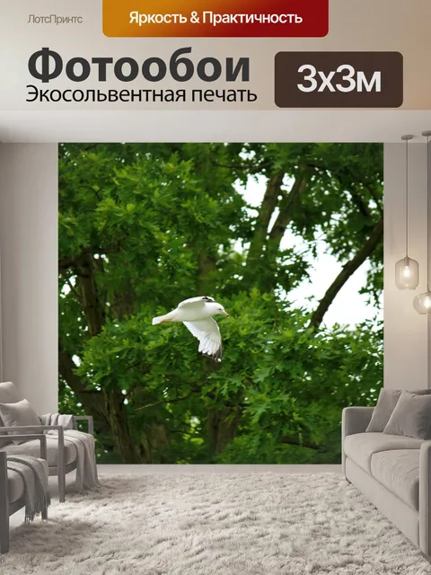 Фотообои Чайка среди деревьев