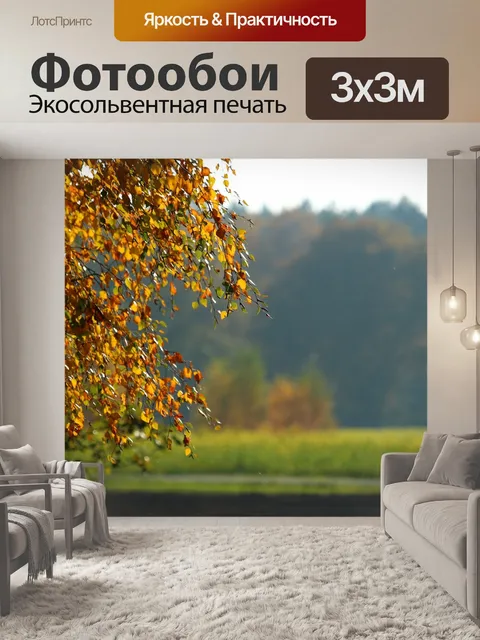 Фотообои Падение