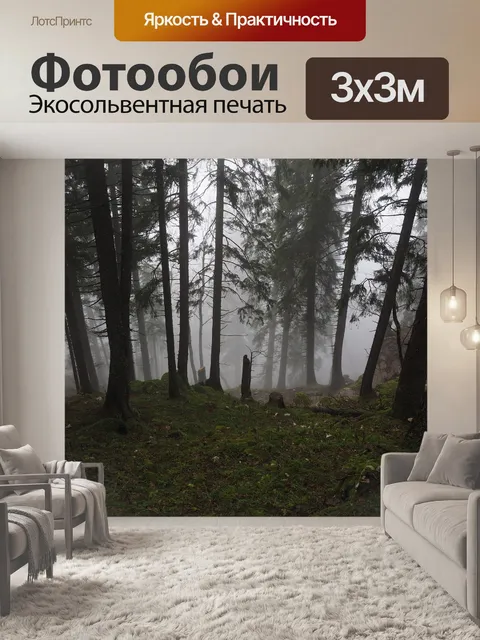 Фотообои Еловый лес