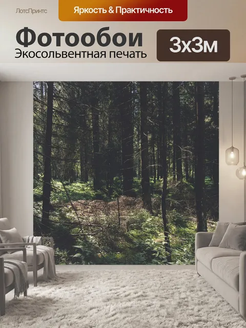 Фотообои Хвойное дерево