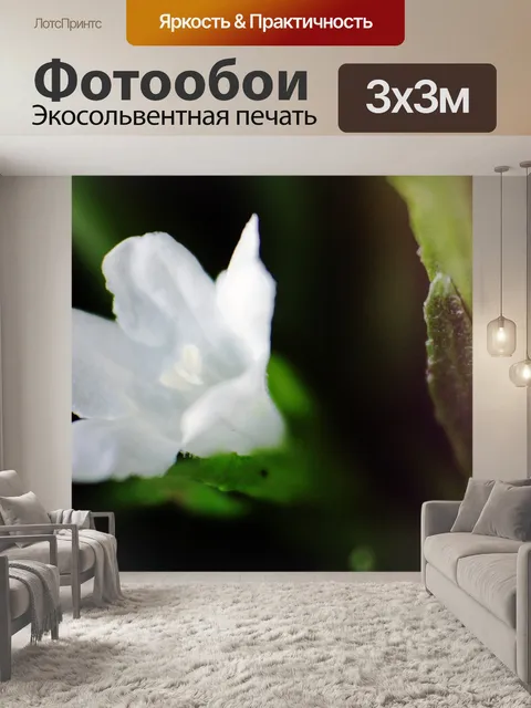 Фотообои белый цветок 2
