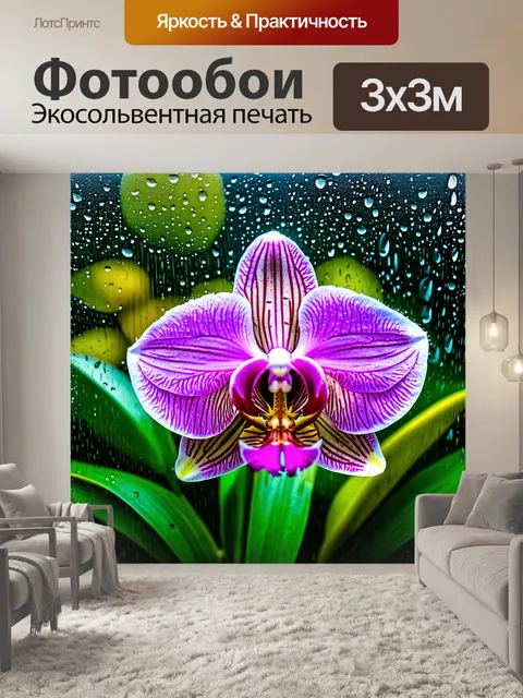 Фотообои орхидея под дождем, капли воды на цветах