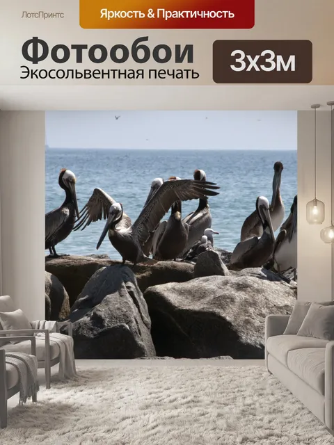 Фотообои колония пеликанов