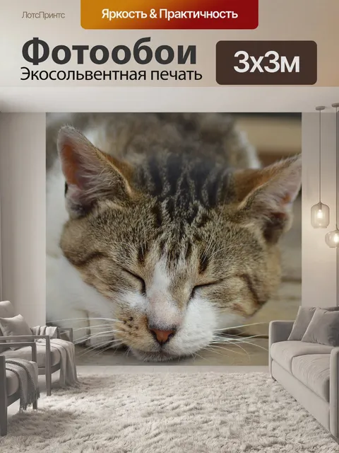 Фотообои Животное