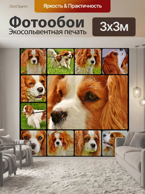 Фотообои Собака