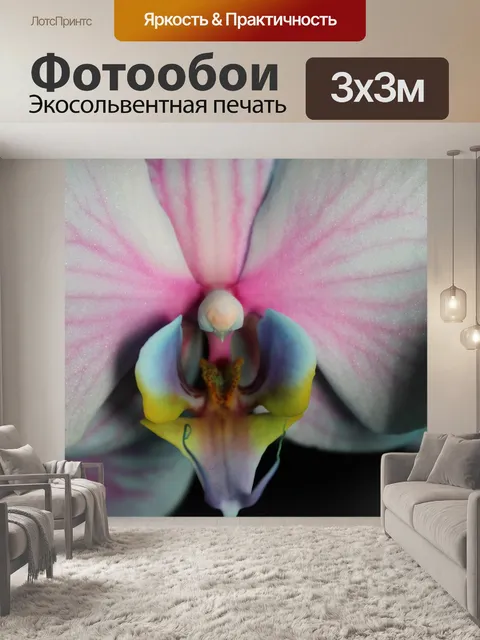 Фотообои Цветы орхидеи