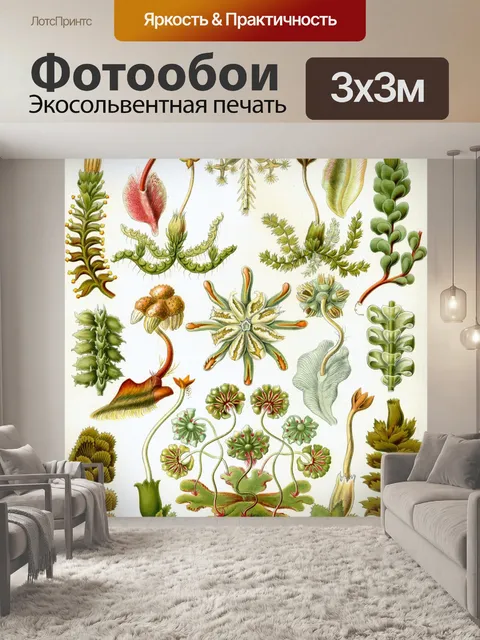 Фотообои Растения ботаника винтаж искусство