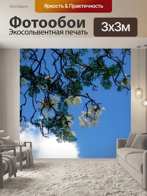 Фотообои белый Jakaranda цветения
