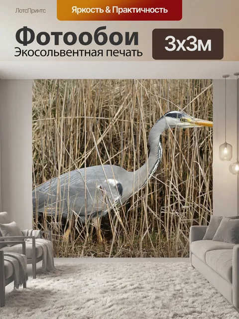 Фотообои Серая цапля