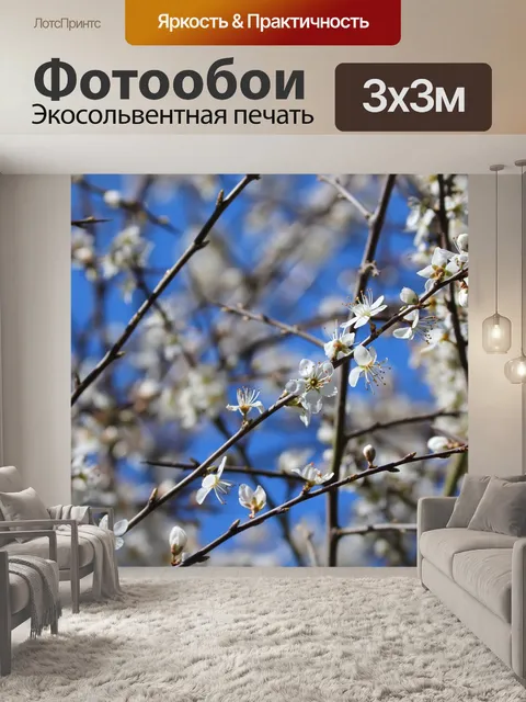 Фотообои Терновник