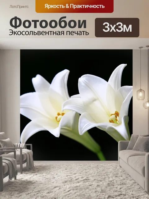 Фотообои Лилия длинноцветковая, пасхальная лилия
