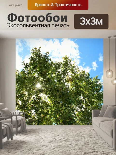 Фотообои клен