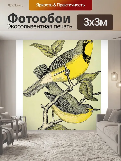 Фотообои Винтаж Птица Желтая Желтая Трясогузка