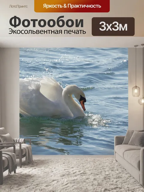 Фотообои Лебедь
