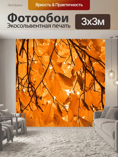 Фотообои Оранжевые листья бука