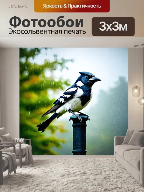 Фотообои сорока на фонарном столбе во время дождя, капли падающей воды сверкают на её перьях