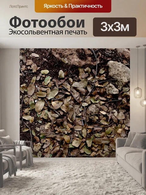 Фотообои Текстура коричневого лесного пола