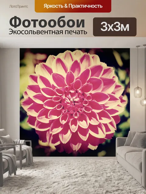 Фотообои Красивый цветок