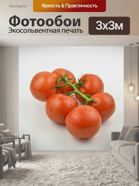 Фотообои Ветка помидоров