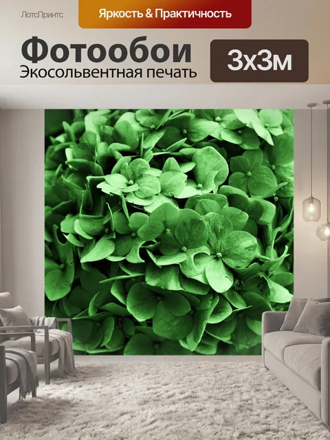 Фотообои гортензия оттенок зеленого