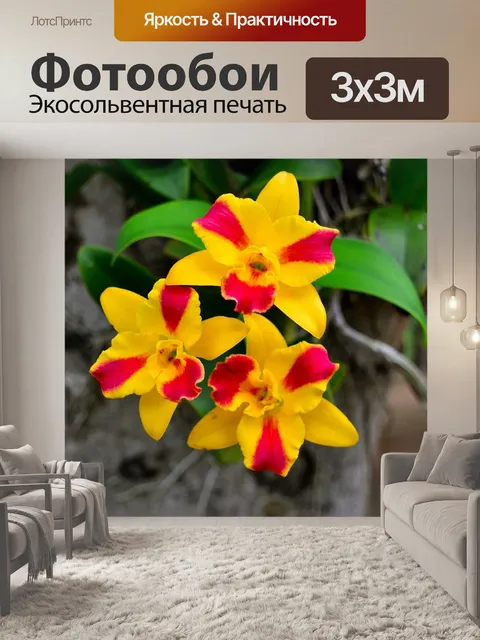 Фотообои Дикая орхидея