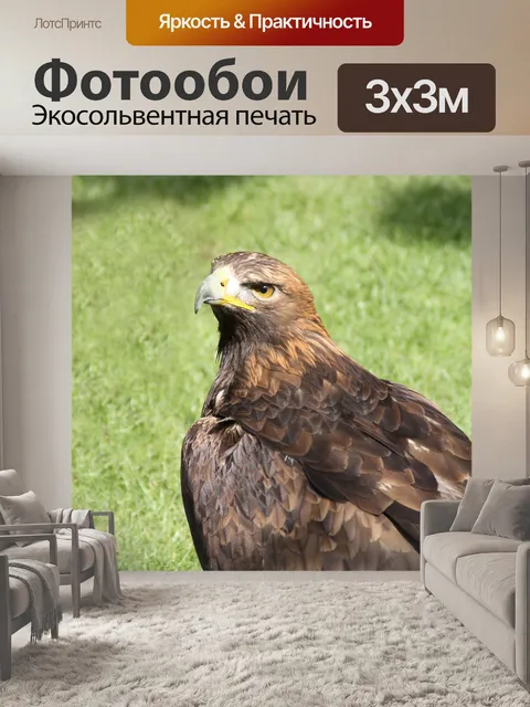 Фотообои Орел