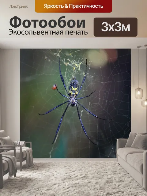 Фотообои Вид паука-ткача с золотой сферой
