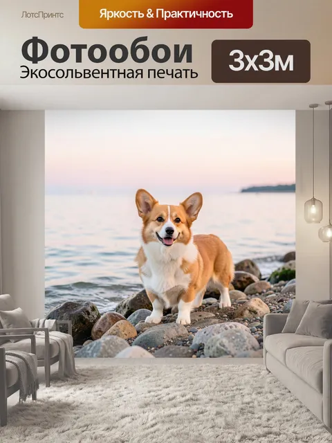 300 × 300 см · Экосольвентная печать