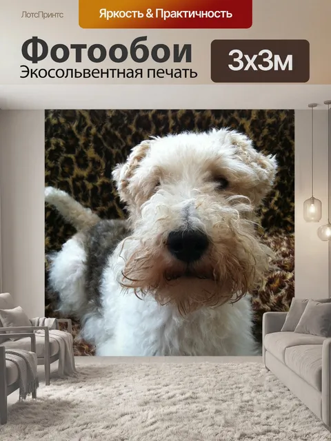 Фотообои Фокстерьер