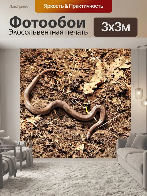 Фотообои Змея с кольцевой шеей в грязи