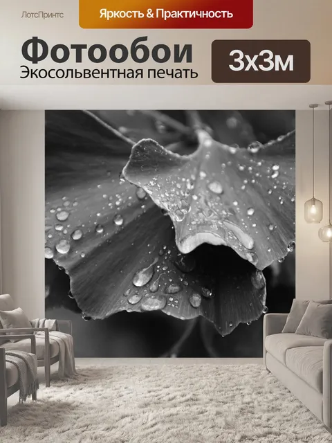 Фотообои Гинкго листья