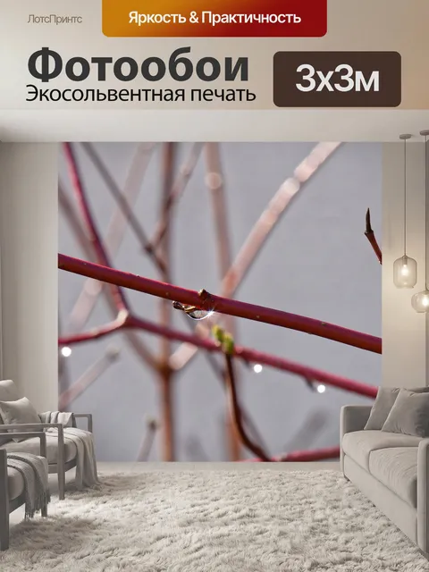 Фотообои Капля дождя