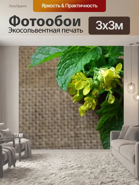Фотообои желтые цветы бок-чой