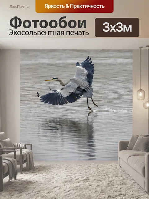 Фотообои Серая цапля