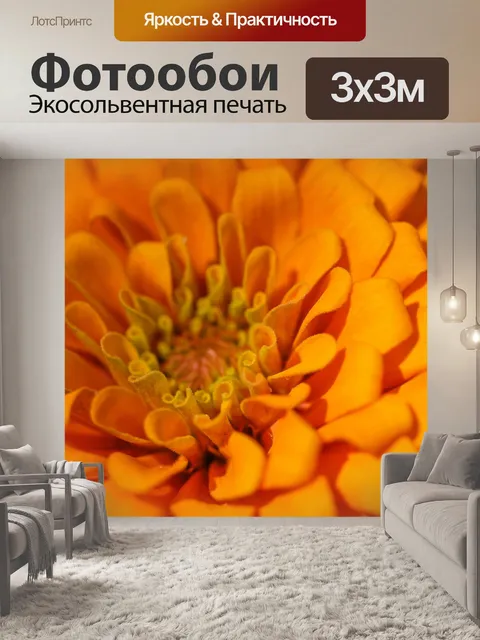 Фотообои красочный цветок макро выстрел