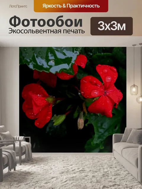 Фотообои Красный цветок герани