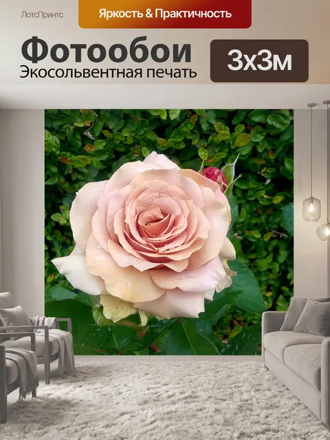 Фотообои Розовый