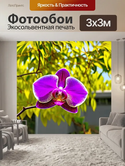 Фотообои орхидея, расположенная на фоне солнечного дерева с яркой листвой