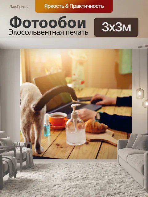 Фотообои Кошка