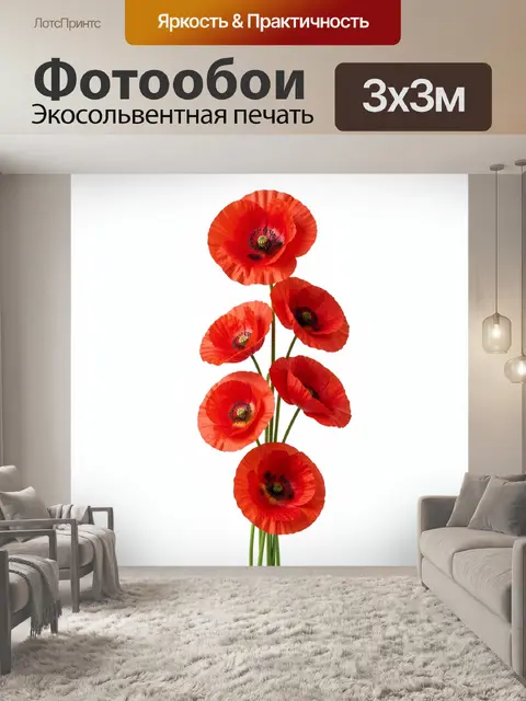 Фотообои Красные маки на белом фоне