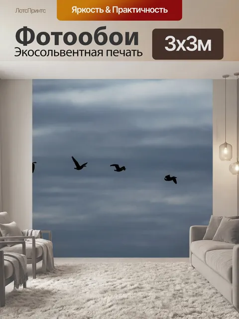 Фотообои Птицы