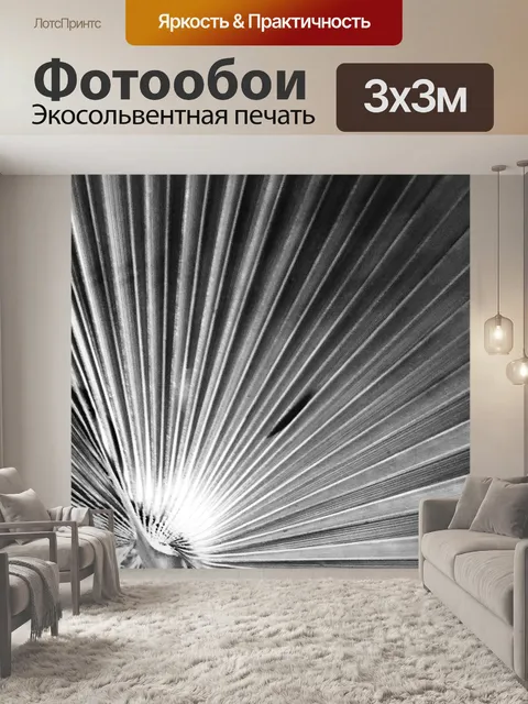 Фотообои Черно-белая крупная веерная ладонь