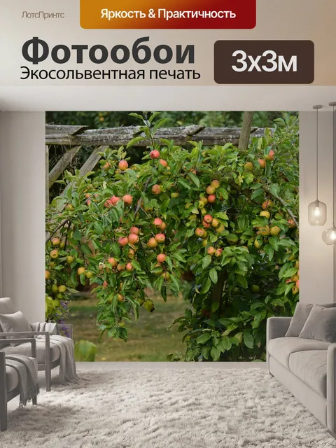 Фотообои Яблоня