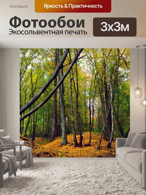 Фотообои Отцовский национальный парк
