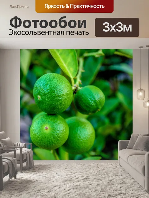 Фотообои Свежие лаймы на липе