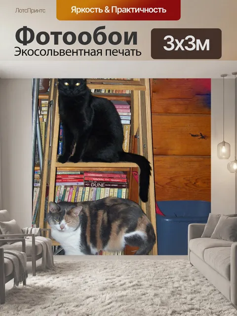 Фотообои Кошки на Ladder