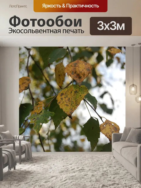 Фотообои Лист
