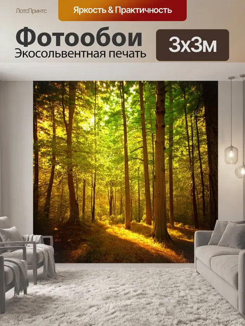 Фотообои зеленые в стиле сепия: тихий лес с высокими деревьями и солнцем, пробивающимся сквозь листву