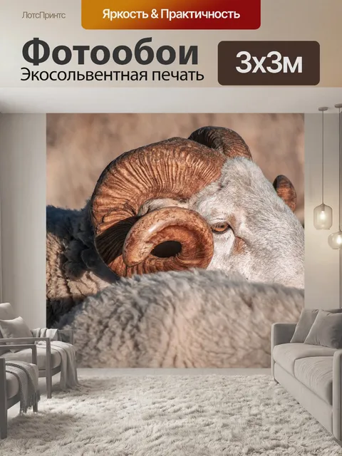 Фотообои Овцы