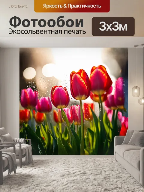 Фотообои тюльпаны, ярко-красные и нежно-розовые, распускаются в лучах утреннего солнца, создавая удивительный…